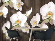 Фотошпалери Білі орхідеї на дереві - 1