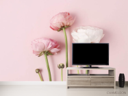 Фотообои Минималистичные рунункюлюсы - 2