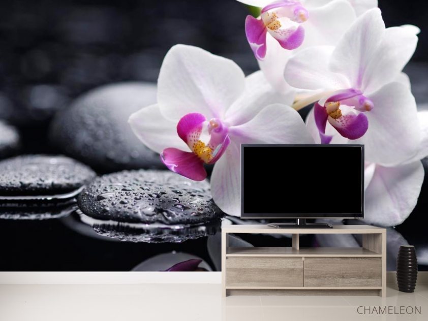 Фотообои Белые с малиновым орхидеи - 2