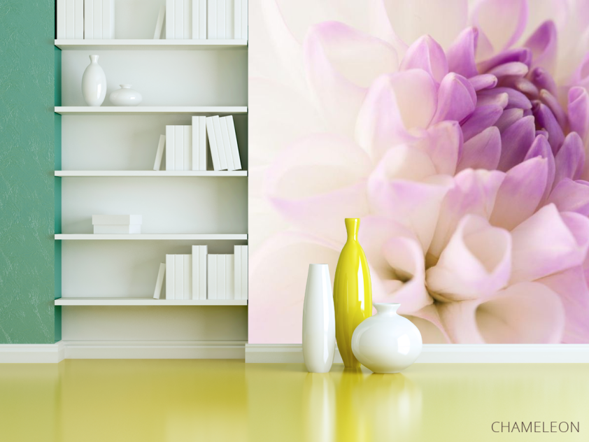 Фотошпалери біло-бузковий квітка - 3