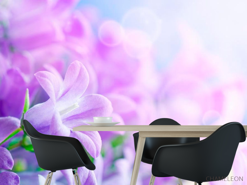 Фотошпалери Квіточки бузку - 1