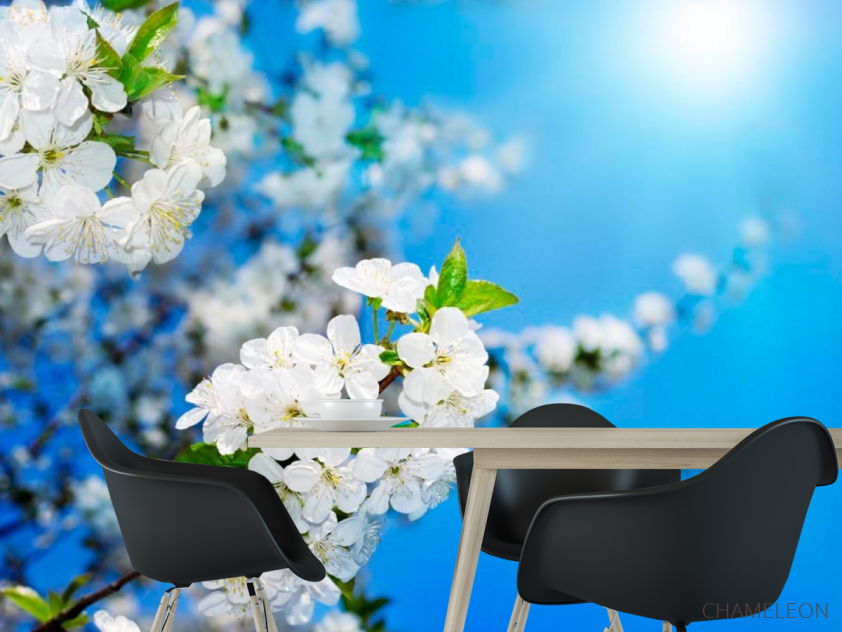 Фотообои Цветущие весной персики - 1