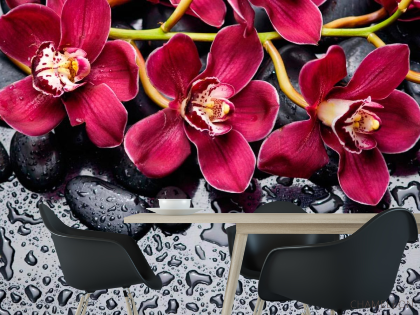 Фотошпалери Квіти на камінні - 1