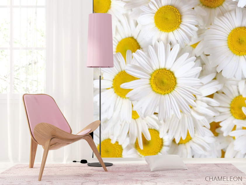 Фотошпалери ромашки - 4