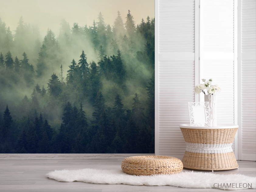Фотошпалери туманні сосни - 2