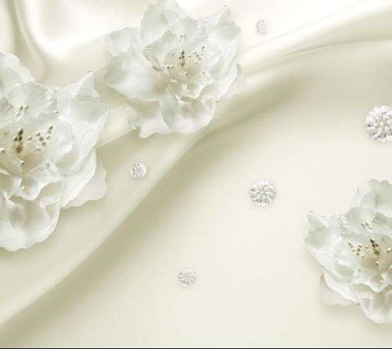 Фотообои Цветы на полотне Фотообои Цветы на полотне 19306