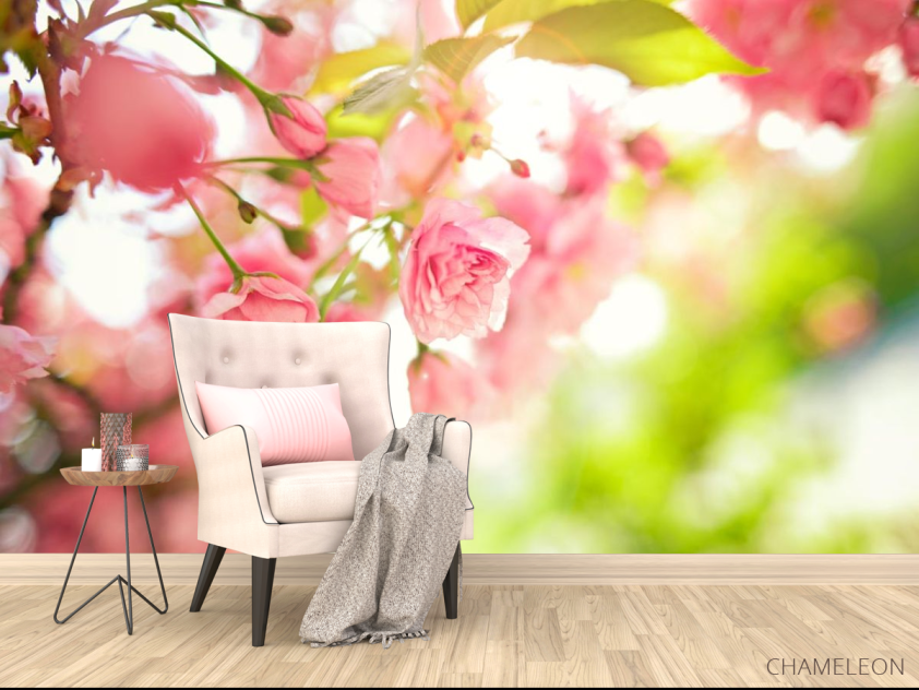 Фотообои розовые цветки - 4