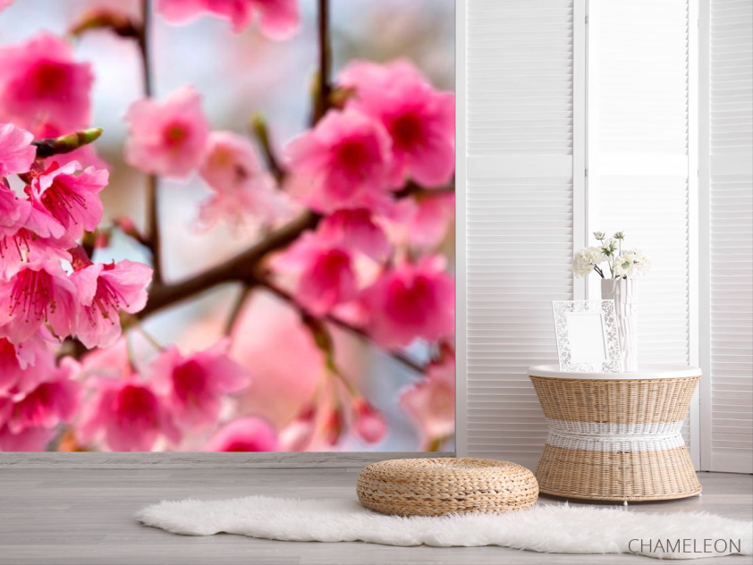 Фотошпалери Дерево з рожевими ветами - 2