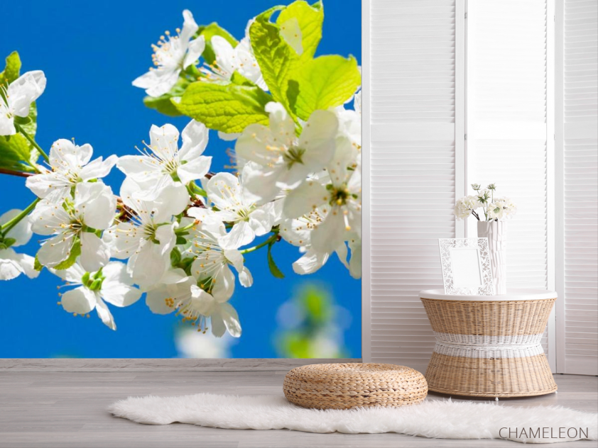 Фотошпалери Квіти на фоні неба - 2