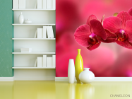 Фотошпалери Червоні орхідеї - 3