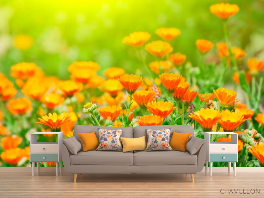 Фотообои Оранжевые чернобривцы - 1