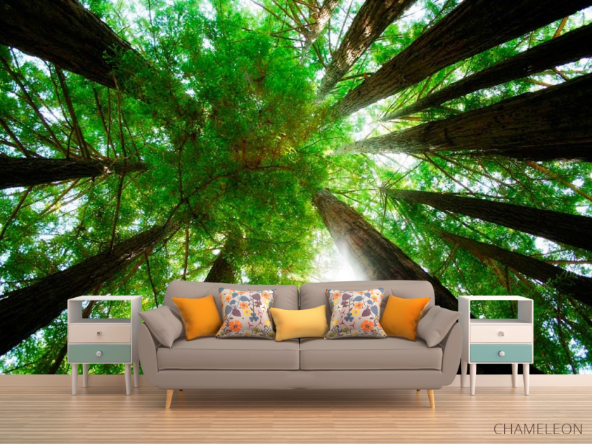 Фотообои Деревья, вверх - 1