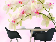 Фотошпалери Орхідеї точкові - 1