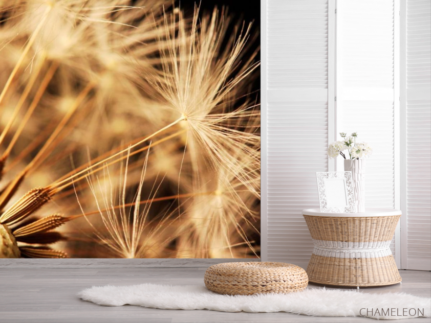 Фотошпалери Макро кульбаби - 2