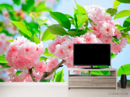 Фотообои Соцветие чайной розы - 2