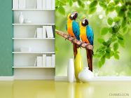Фотообои Попугаи - 3