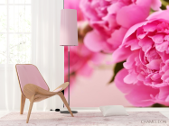 Фотошпалери рожевий піон - 4