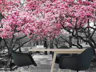 Фотошпалери Рожеві дерева в парку - 1