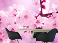 Фотошпалери Цвітіння персика навесні - 1