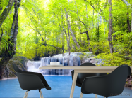 Фотошпалери Водоспад і дерева - 1