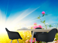 Фотообои Бескрайнее цветущее поле - 1