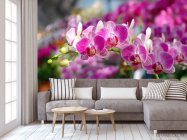 Фотообои Розовые орхидеи цветут - 3