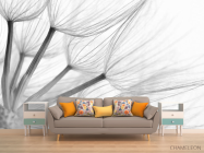 Фотообои Одуванчик - 1