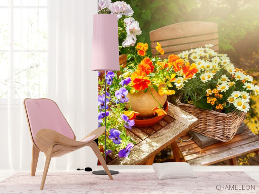 Фотошпалери Ромашки - 4