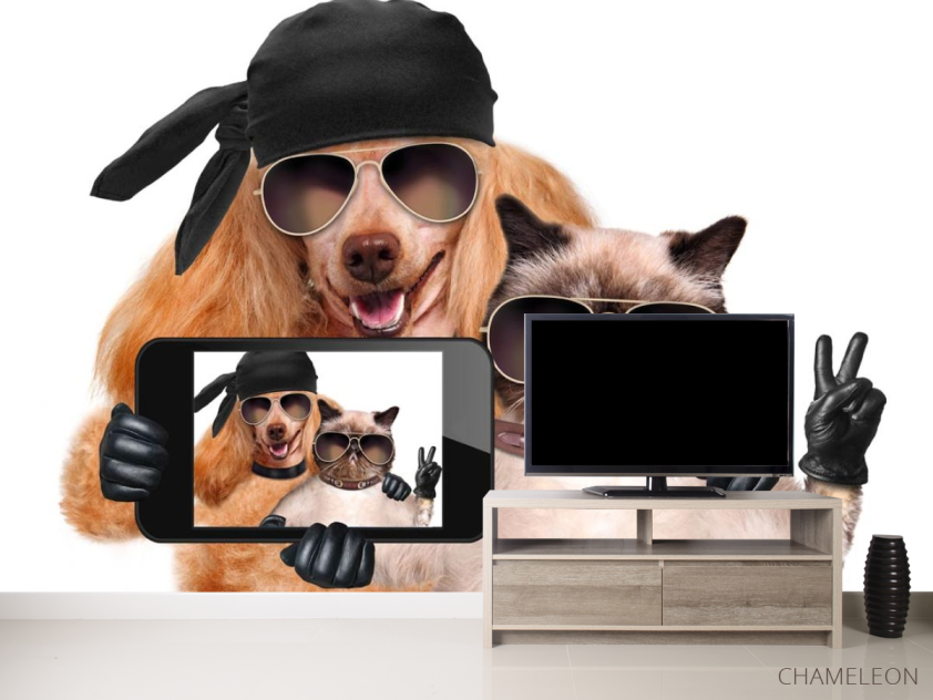 Фотообои кот с собакой делают селфи - 2