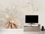 Фотообои Одуванчик бежевый - 2