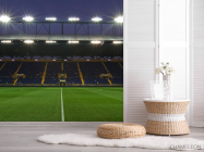 Фотошпалери стадіон з людьми - 2