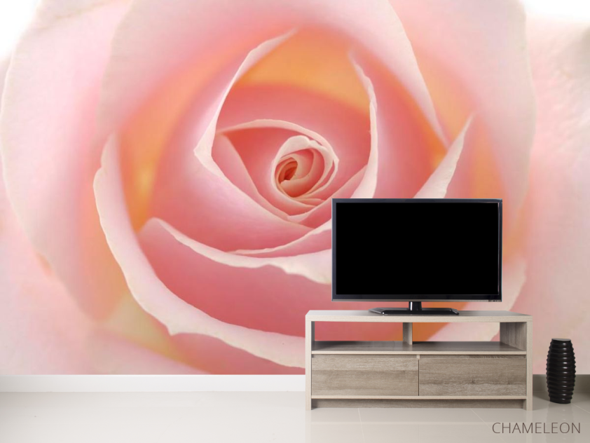 Фотообои Розочка кремовая - 2