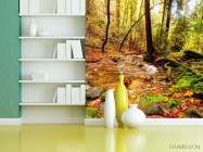 Фотошпалери Струмок у лісі - 3