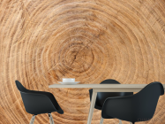 Фотошпалери Дерево в розрізі - 1