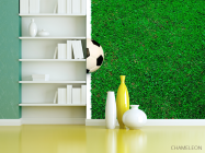 Фотошпалери М'яч на лінії - 3