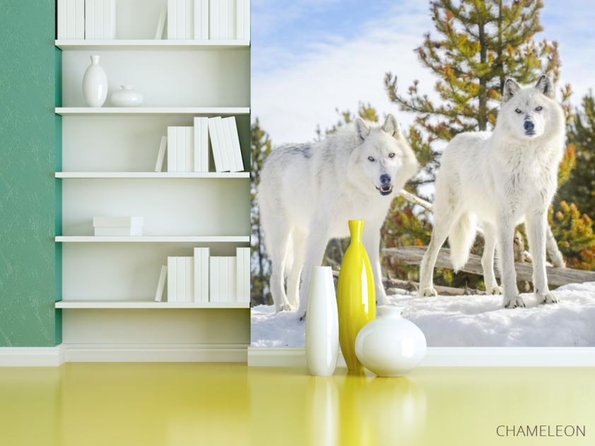 Фотошпалери два білих вовка на снігу - 3