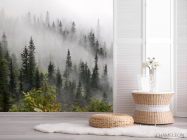 Фотошпалери Туманний ліс - 2