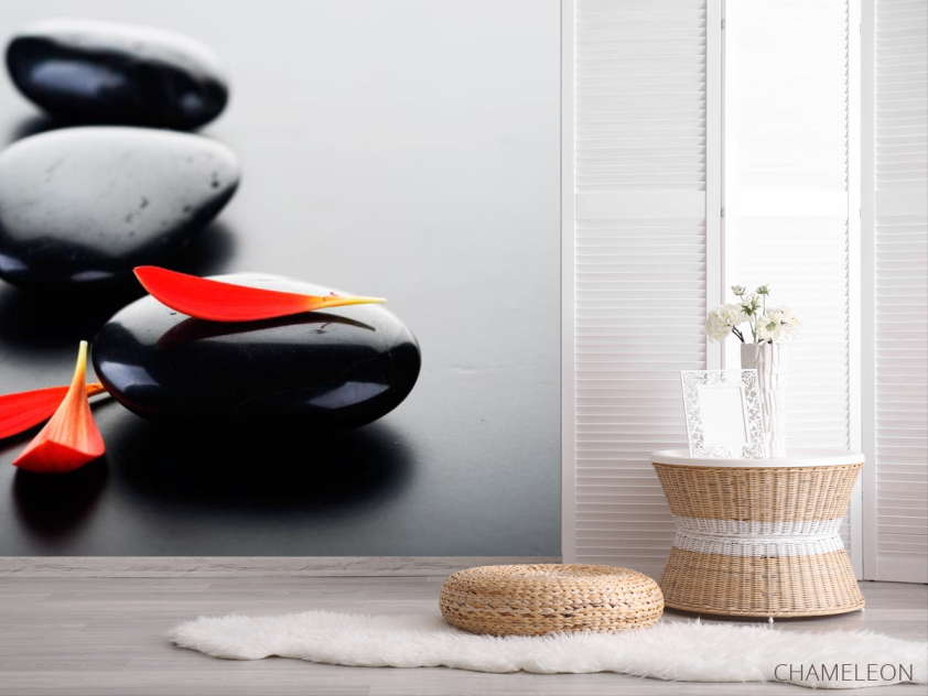 Фотошпалери Пелюстки і камені - 2