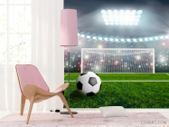 Фотошпалери м'яч і ворота - 4