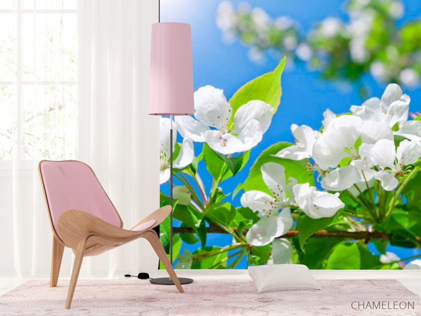 Фотошпалери Квіти білі маленькі - 4