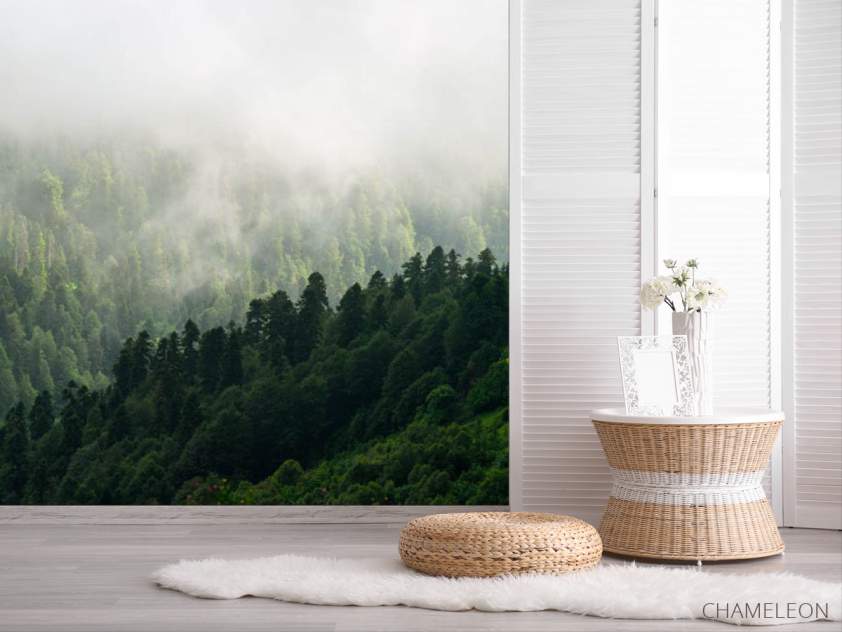 Фотошпалери Вид на туманий ліс - 2