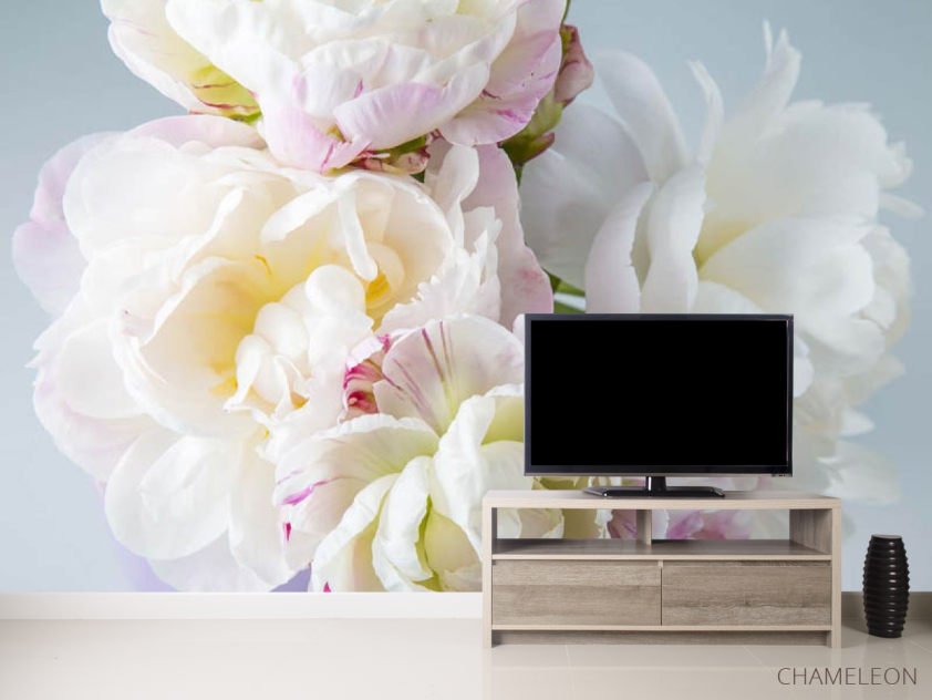 Фотообои Пионы белые - 2