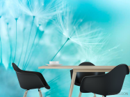 Фотошпалери Кульбаба в небі - 1