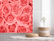 Фотошпалери Кремово-рожеві троянди - 2