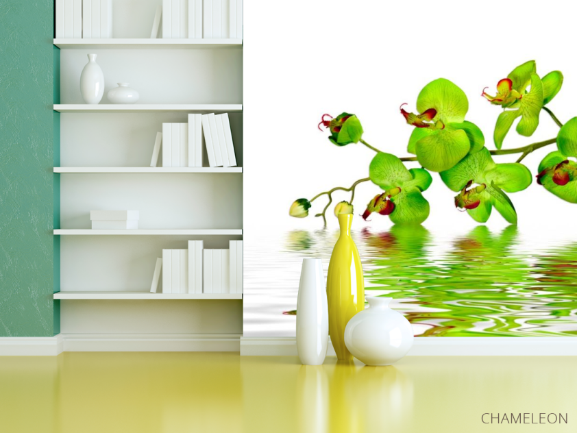 Фотошпалери Зелені орхідеї - 3