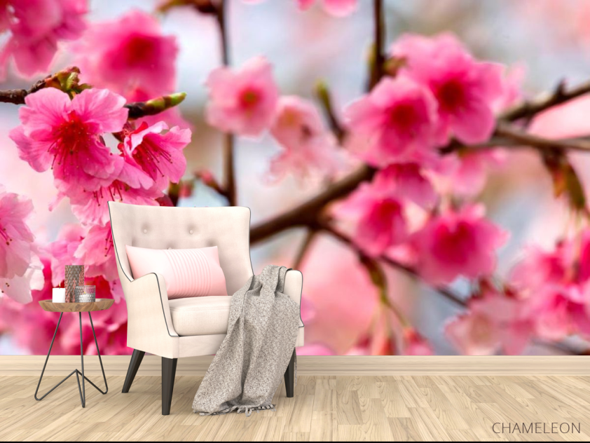 Фотообои Дерево с розовыми ветами - 4