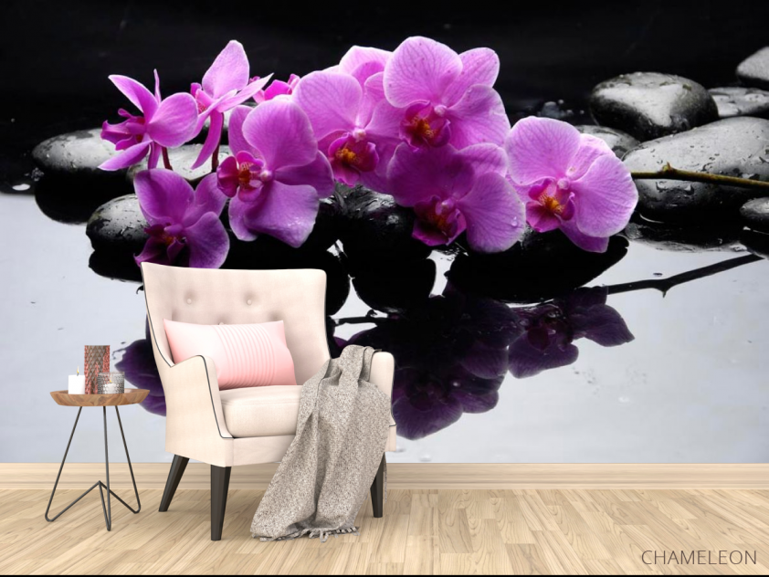 Фотообои Ветка орхидеи на камнях - 4