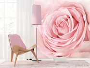 Фотообои розовая роза - 4