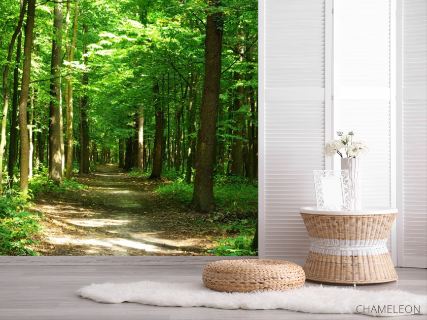 Фотошпалери зелений ліс - 2