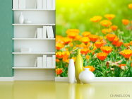 Фотошпалери Жовтогарячі чорнобривці - 3